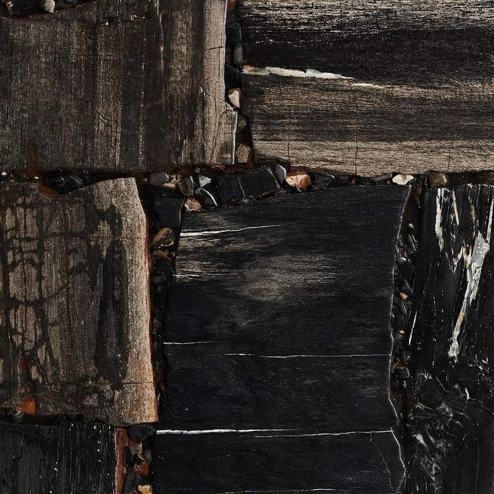 Noir Petrified Wood Retro Gemstone