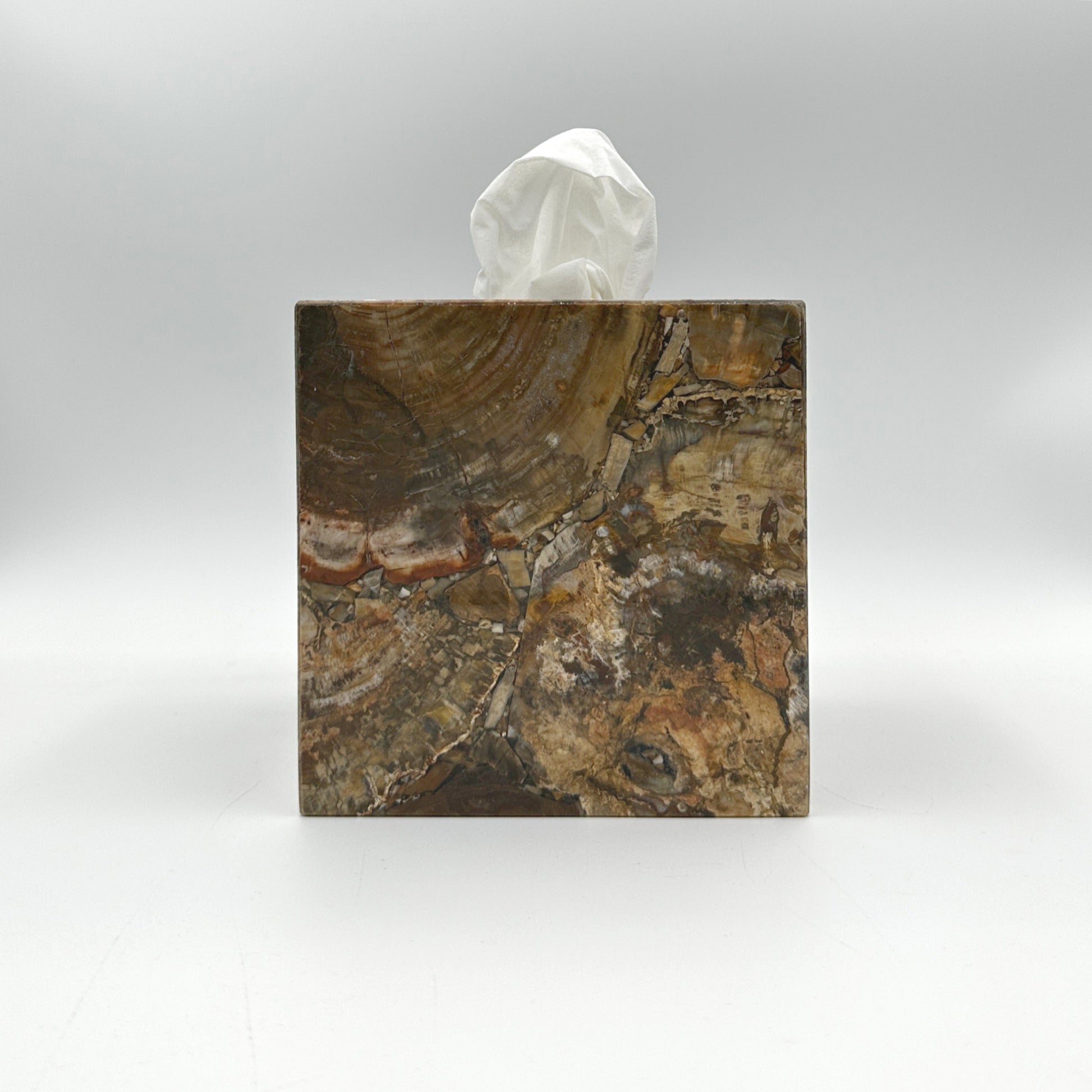 Taj Gemstone Petrified Wood Tissue cover box