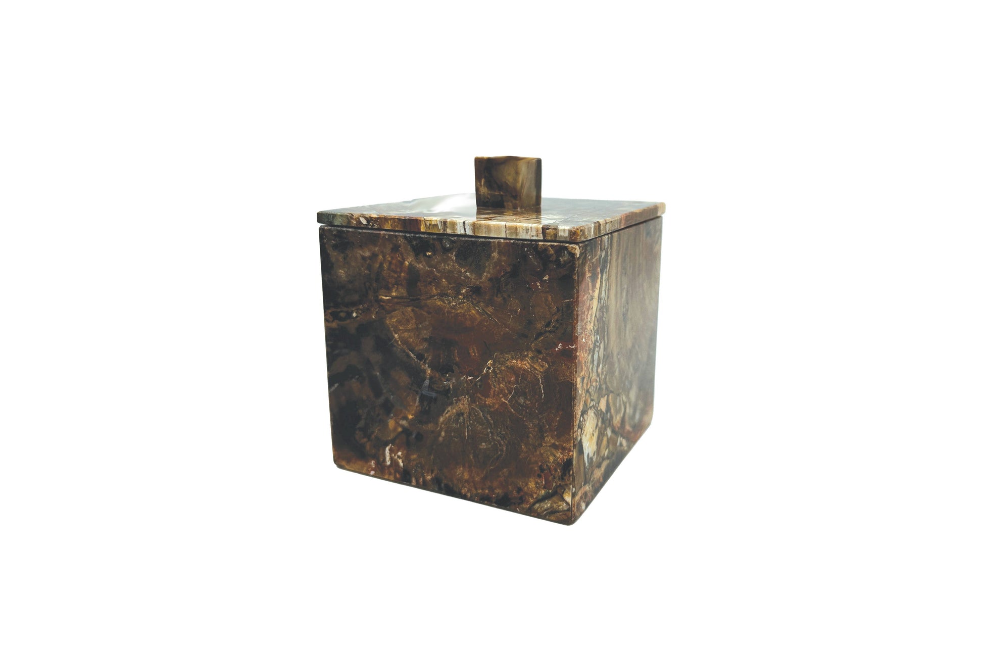 Luxury Petrified Wood Container